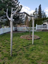 Load image into Gallery viewer, Driftwood Wedding Arch Two Post Rustic Garden Arbor 6' x 7' Opening ARB