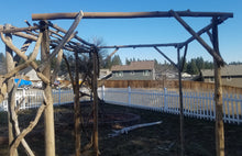 Load image into Gallery viewer, Driftwood Wedding Arch / Chuppah Hybrid, Arbor with Attached Chuppah 7 H x 6 W x 6 D