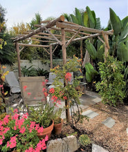 Load image into Gallery viewer, Driftwood Pergola Garden Vineyard Trellis  Handcrafted H 84" x W 60" x L 120"